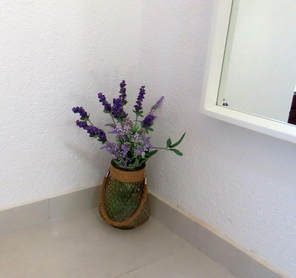 מאלינסקה Apartments Kamelija מראה חיצוני תמונה